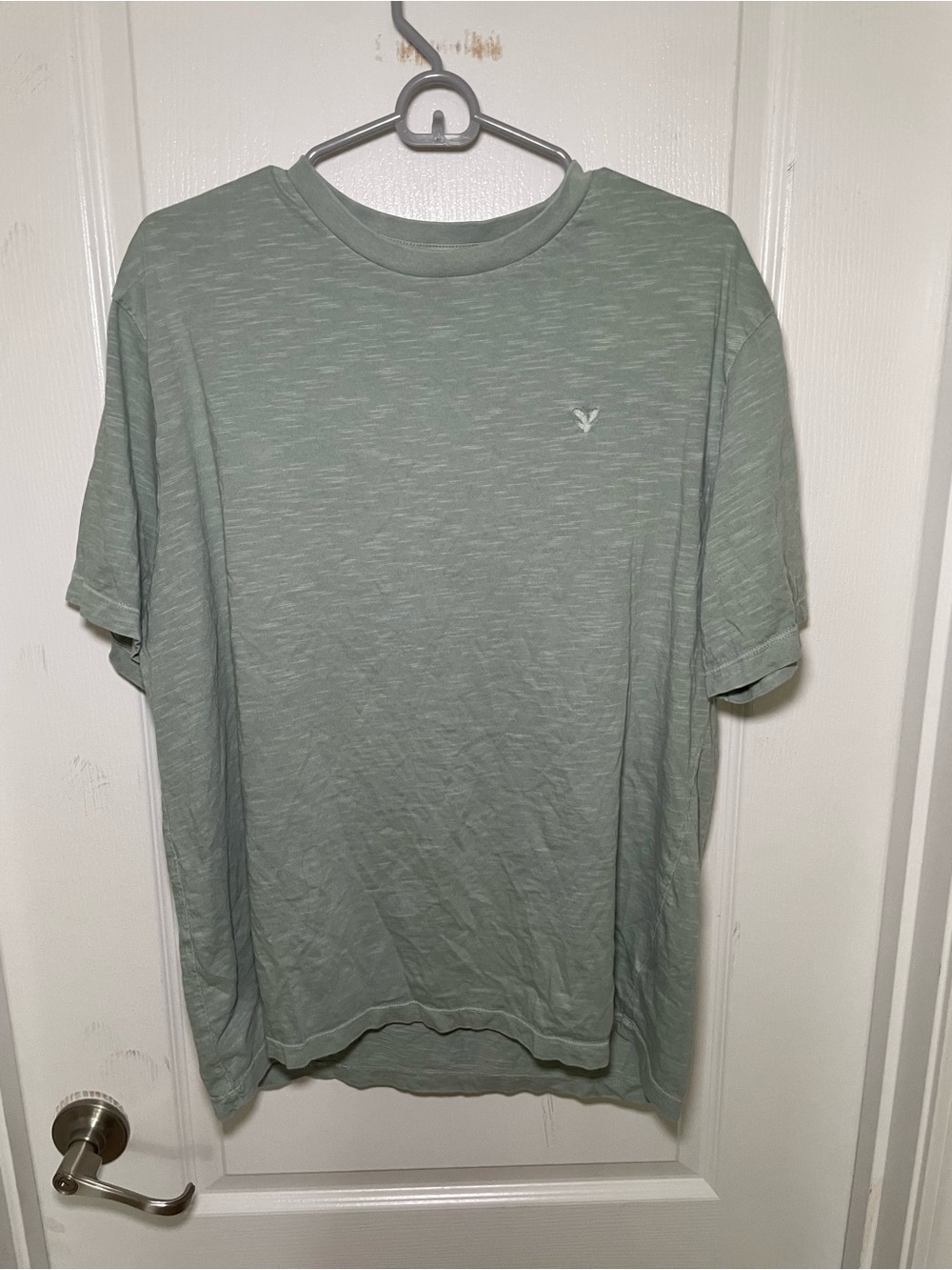 American Eagle Outfitters Sage Short-Sleeve Crewneck Tee